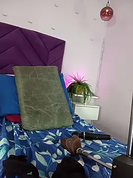 haileystone webcam