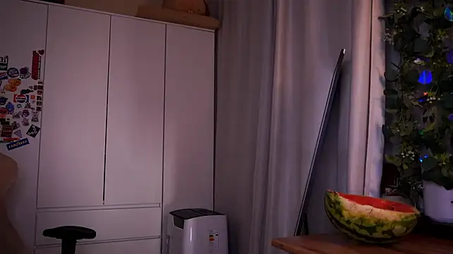 Liuba_Fox webcam