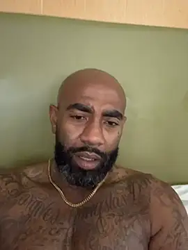 QHefner52 webcam
