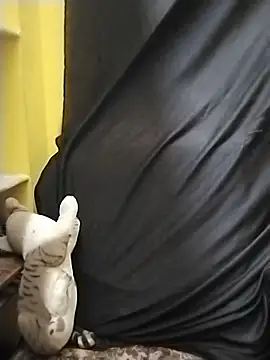 Tamil_Kanmani webcam