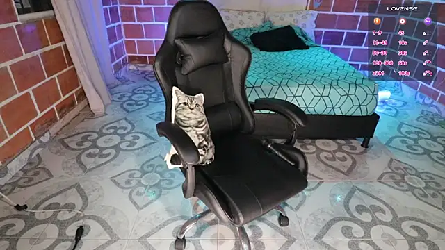 Ryan_picato webcam