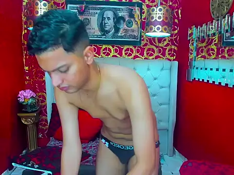 PEINBOYS webcam