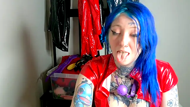 coyemoo webcam