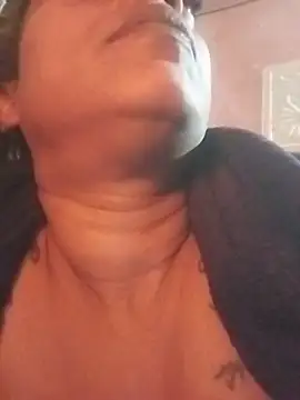 DOVE85 webcam