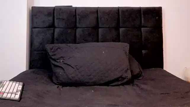 Noha-Wolf webcam