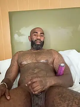 QHefner52 webcam