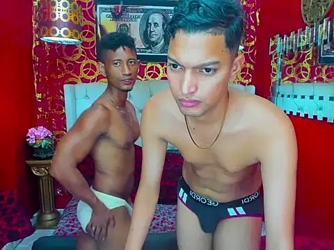 PEINBOYS webcam