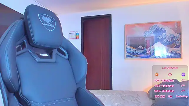 RJBarto webcam