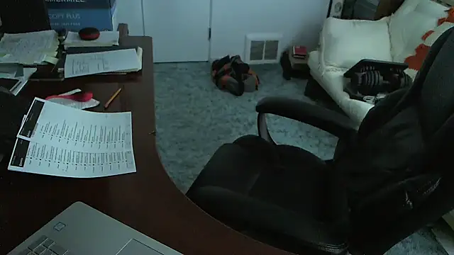 falconcam webcam