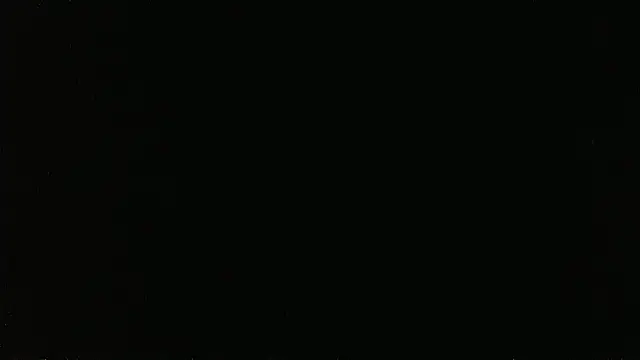 falconcam