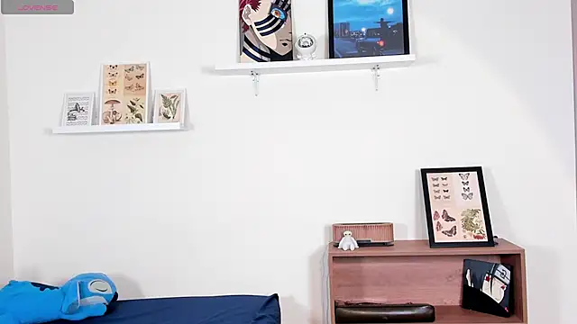 haru_storm webcam