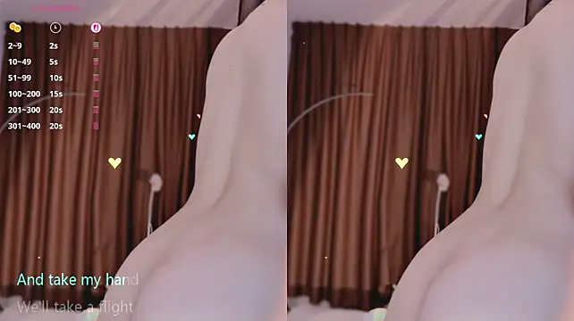 Vaidurya-Yolo webcam