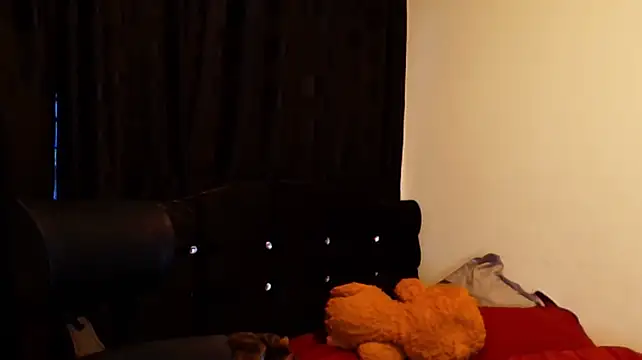 jimmy_class webcam