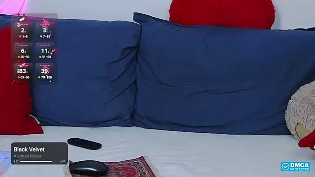 -Lorik- webcam