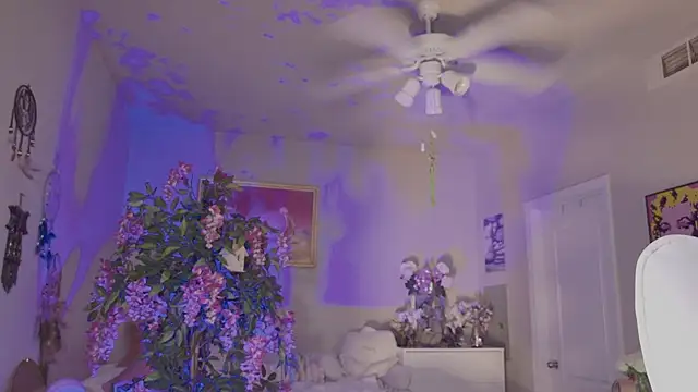 Talulaa webcam