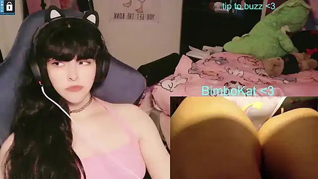 BimboCat webcam