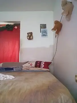 wa379 webcam