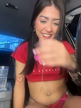 Chanel-fire webcam