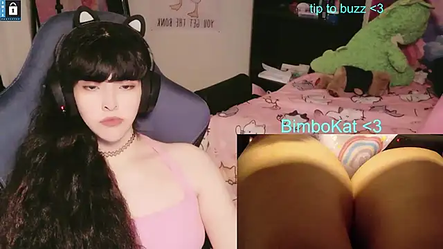 BimboCat webcam