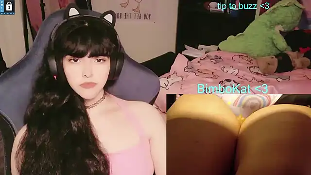 BimboCat webcam