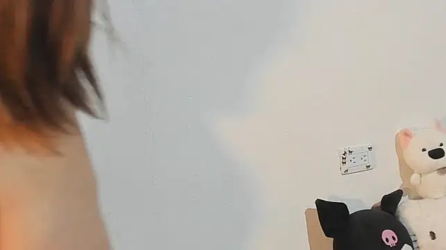 Eirlysx webcam