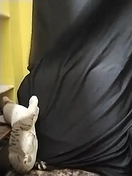 Tamil_Kanmani webcam