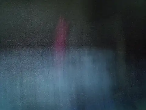 melgel webcam