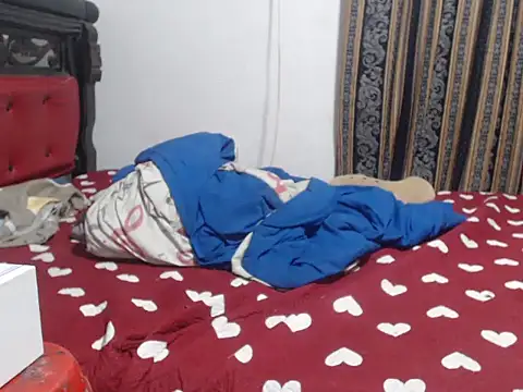 Ponse_Hot webcam