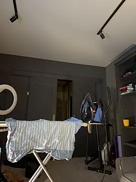 Bastet webcam