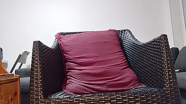 Tyyson03 webcam