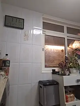 Javier_bear webcam