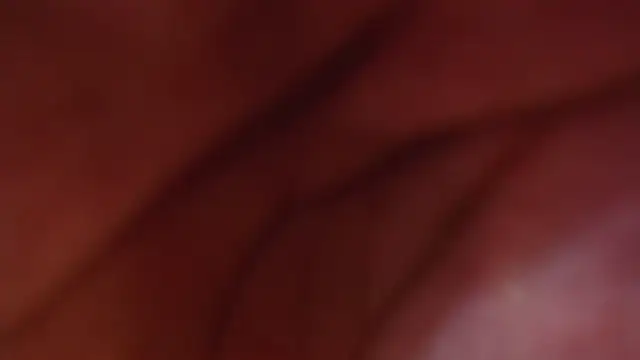 AudreyMilesTrans webcam