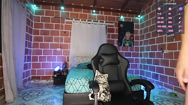 Ryan_picato webcam