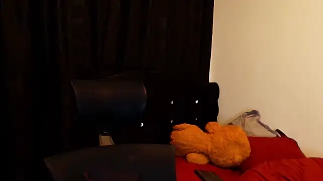 jimmy_class webcam