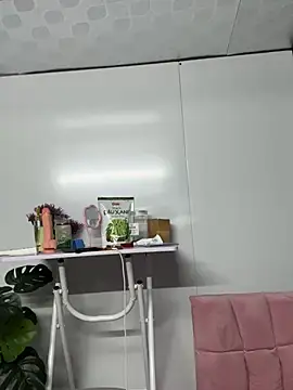 Nana-19 webcam