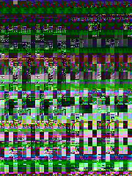 Pitercom webcam