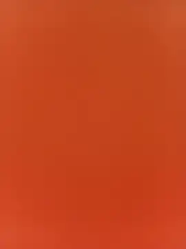 _mari- webcam