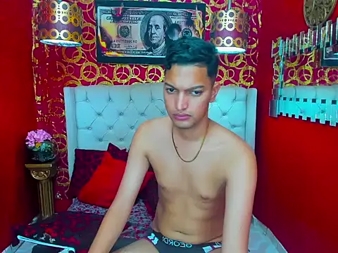 PEINBOYS webcam
