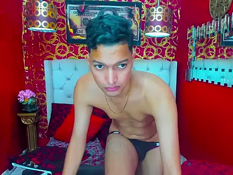 PEINBOYS webcam