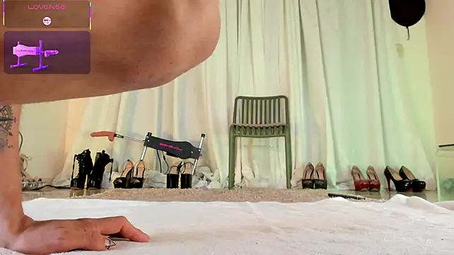 ArchieCollins webcam