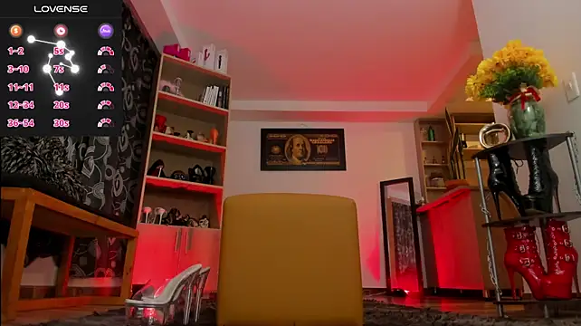missariadna2 webcam