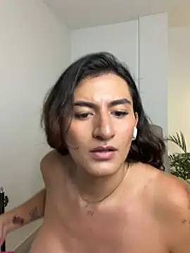 ari_artis webcam