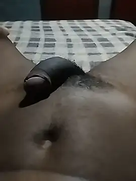 Pua009 webcam