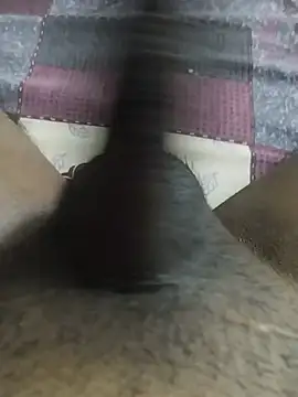 desi_pb02 webcam