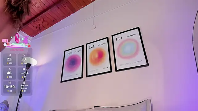 AriaMuse webcam