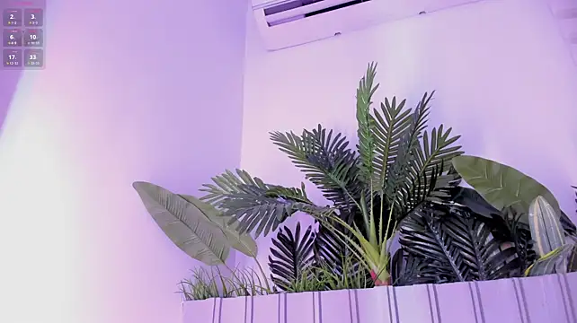 stephanymonroe webcam