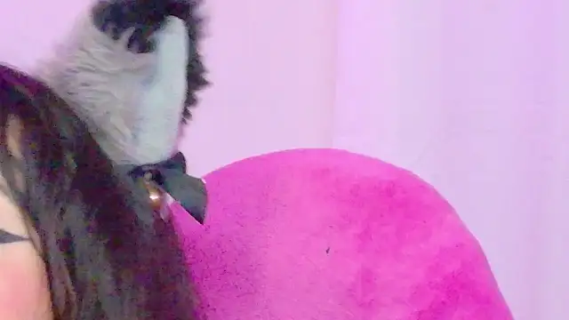 Sachi_Meow webcam