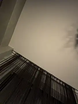 Andrestarr webcam