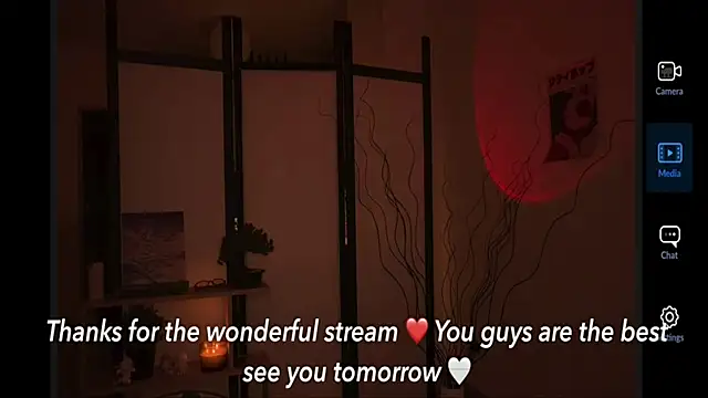 secrettape webcam