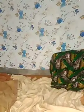 Gata-on-line webcam